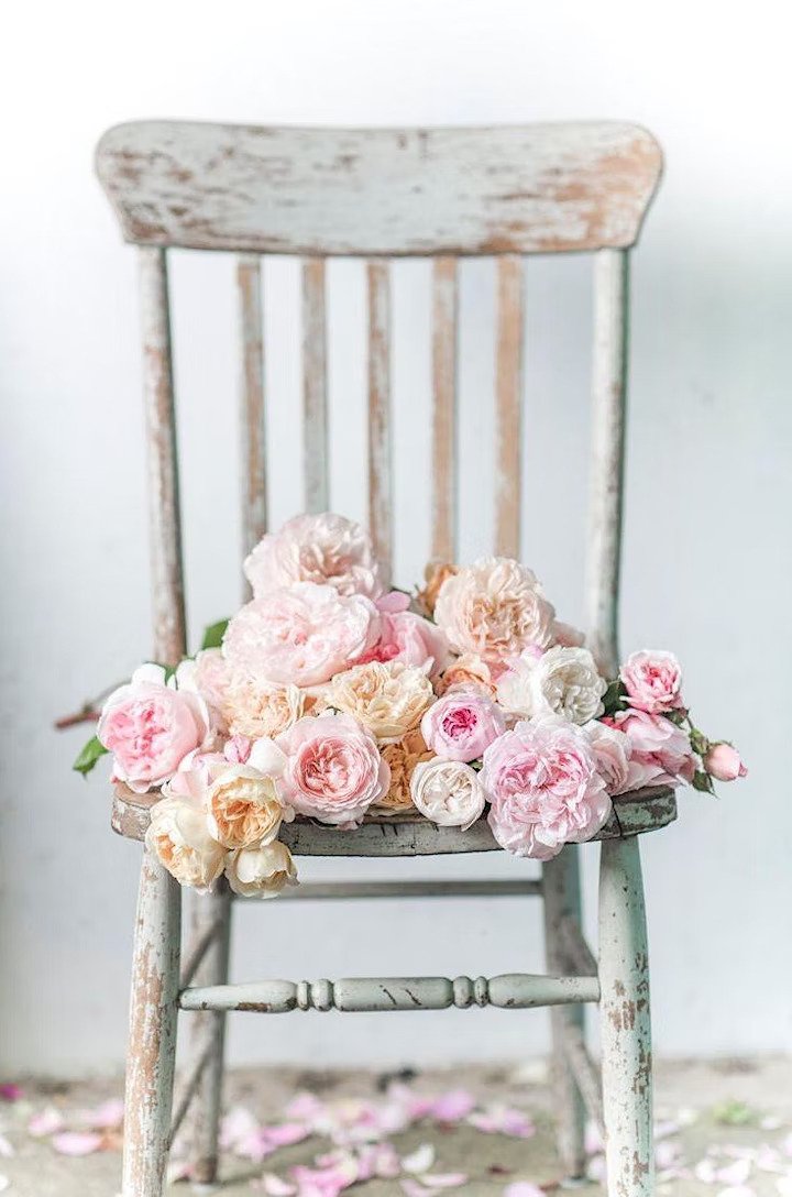 Chair of Roses