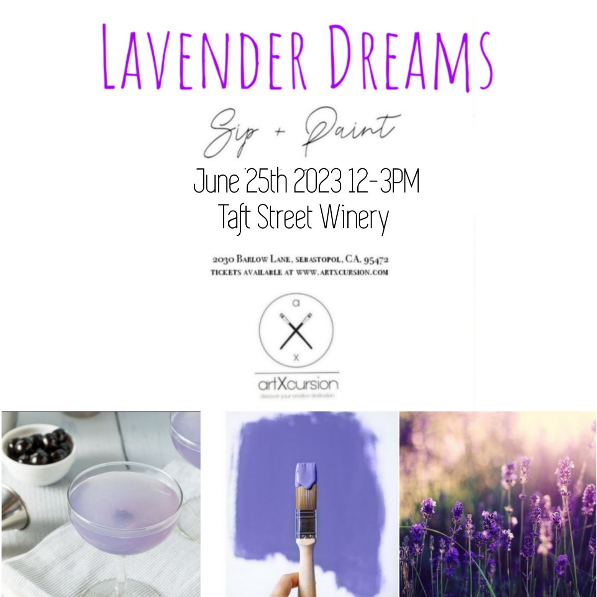 lavender Dreams